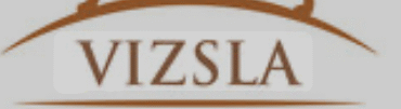 Vizsla Breeder
